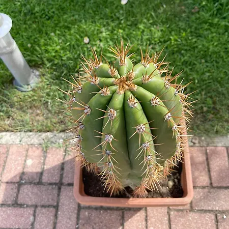 Casa Bella Vista * Gubbio