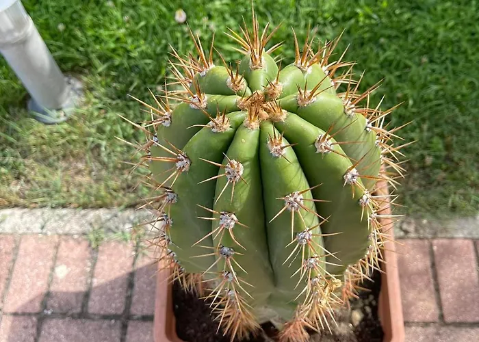 Casa Bella Vista * 구비오